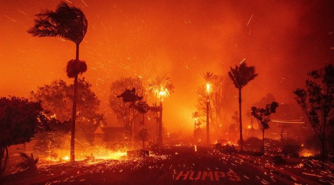Understanding Why Buildings Burn Differently from Grass, Trees, and Leaves